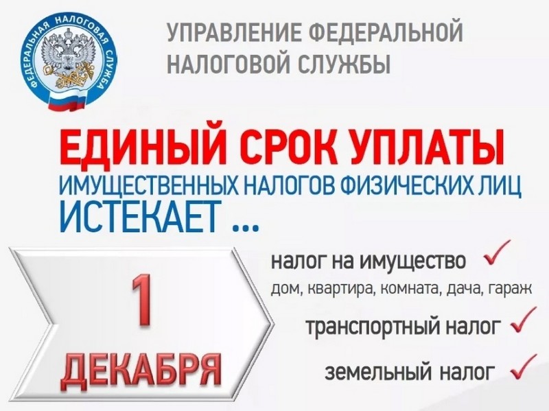 Не забудь заплатить налог!